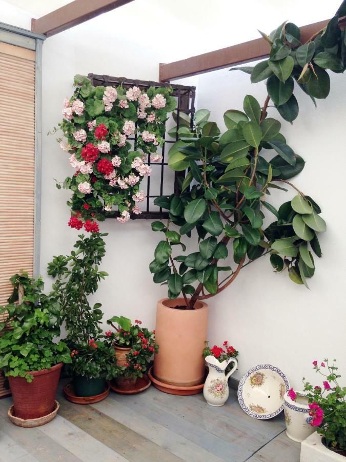 Patio San Lorenzo Córdoba Exterior foto
